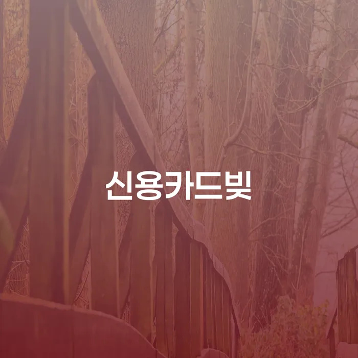 파산관재인 개인회생 제도 이렇게 됩니다.